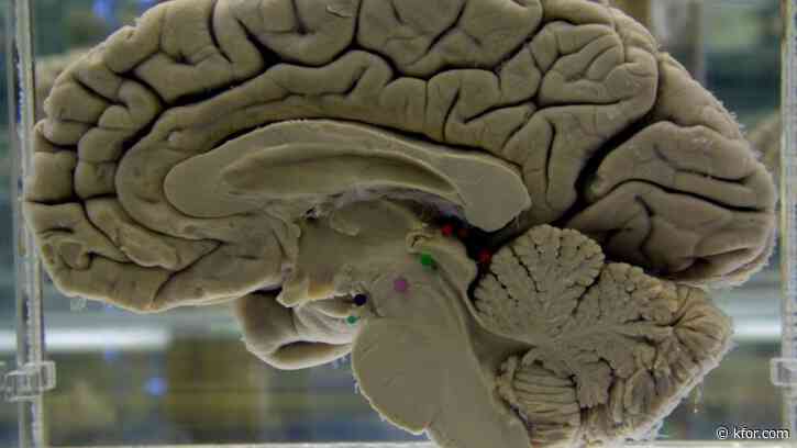 Scans show brain reorganization during pregnancy