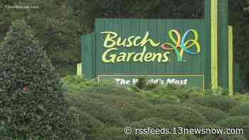 People question safety at Busch Gardens after stabbing