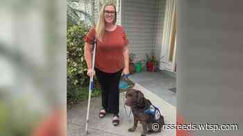 Woman says she was kicked out of St. Pete restaurant for having service dog