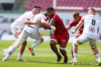 Tuipulotu ready to step up at new look Scarlets