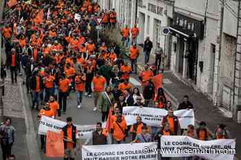 La filière du cognac se mobilise face à la menace de taxes chinoises