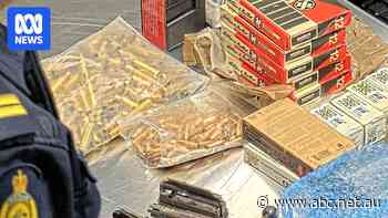 Border Force officers seize hundreds of bullets, firearm parts at Gold Coast Airport