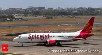 Didn't pay over Rs 3,500cr in TDS & PF, admits SpiceJet