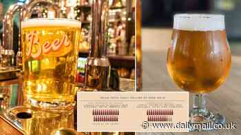 Now woke scientists want to shrink your PINT - as they claim smaller servings of beer could reduce the UK's alcohol consumption