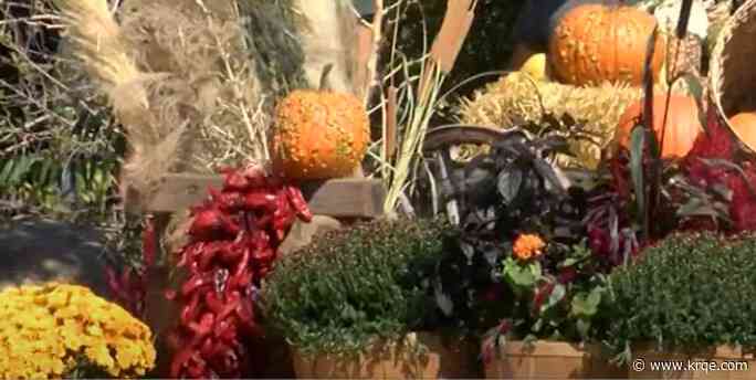 Poll: When do you start putting up fall decorations?