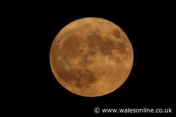 Rare Super Harvest Moon set to light the sky - when you can see it in 2024