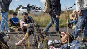 Migrationsexperte Morten Lisborg: «Das heutige Asylsystem bedroht die Sicherheit und die politische Stabilität Europas»