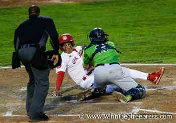 Cougars sweep Goldeyes