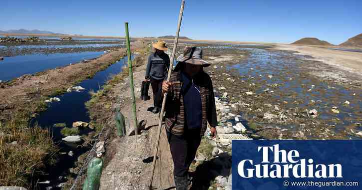 ‘We empower ourselves’: the women cleaning up Bolivia’s Lake Uru Uru