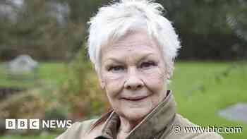 Judi Dench calls for cathedral trees to be saved