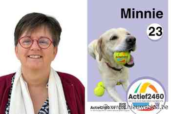 Actief2460 plaatst labrador Minnie De Hond op 23ste plaats: “Wie is de underdog?”