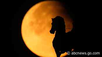 PHOTO COLLECTION: Supermoon