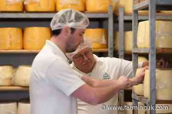 Small cheesemaker uses new tech to monitor conditions remotely