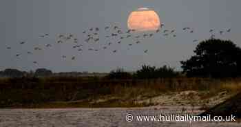 Rare Harvest Supermoon spotted in Hull and East Yorkshire - your pictures