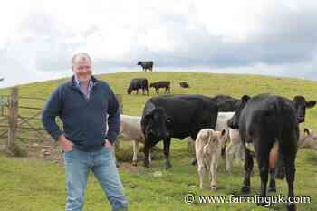 Lanarkshire and Cairngorms farmers to get free business support