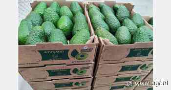 EU nog steeds grootste markt voor Colombiaanse avocado's, maar er komt verandering