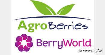 Agroberries en BerryWorld bundelen krachten