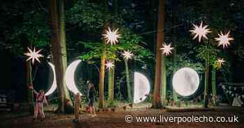 Magical outdoor animal Christmas trail less than an hour from Liverpool