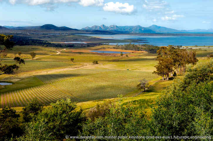 Tasmania in its stride: Uncovering the island state's exceptional wines