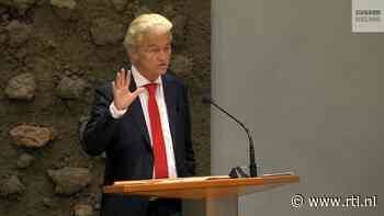 Wilders over noodwet asielcrisis: 'Er zit geen millimeter verschil tussen NSC en de PVV'