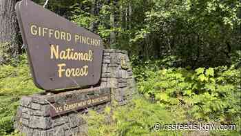 Human remains found in Gifford Pinchot National Forest, believed to be hiker who went missing in 2022