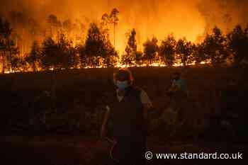 Portugal wildfires: 'State of calamity' as thousands of firefighters battle deadly blazes