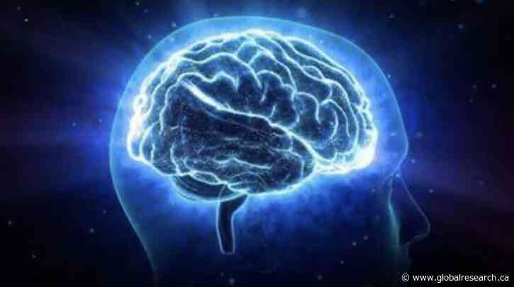 Study Finds Link Between Brain Energy Production and Your Psychosocial Experience