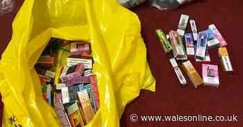 Huge haul of hundreds of illegal items found at corner shop