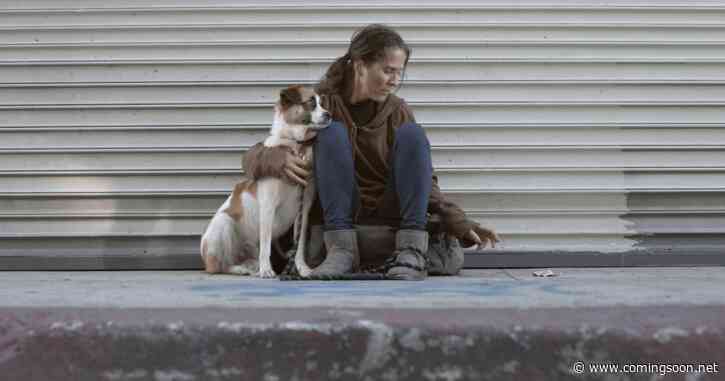 Exclusive My Home Unknown Trailer: Yaz Canli & Diane Foster Star in Homeless Drama