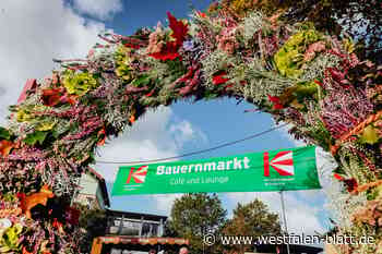 Das hat der Bauernmarkt in Delbrück zum Katharinenmarkt zu bieten