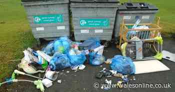 People fined hundreds of pounds for putting bins out incorrectly