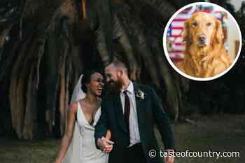 Bride Bans Groom's Dog From Attending Wedding: 'Hard No'