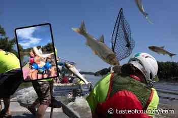 Three Kids Wiped Out by Flying Fish, Probably Won't Fish Again