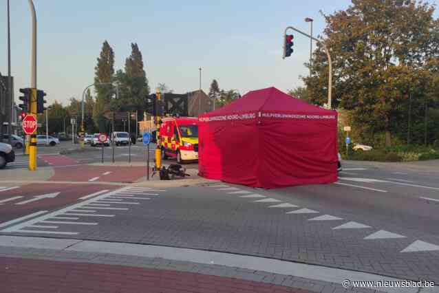 Fietsster (83) verongelukt bij aanrijding in Lommel