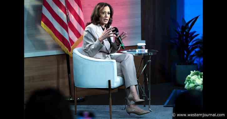 Kamala Harris Acts Friendly to Firearms - But If You Have This in the Gun Safe She's Already Confirmed You're a Valid Target