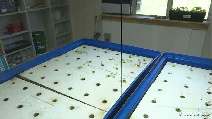 Walker middle school receives $405,000 grant for aquaponics education program