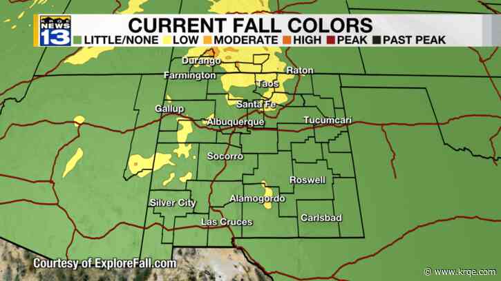 New Mexico Fall Foliage Forecast 2024: When to see peak colors