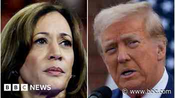 Major US labour union declines to endorse either Harris or Trump