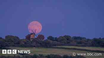 Supermoon eclipse photographed in south of England