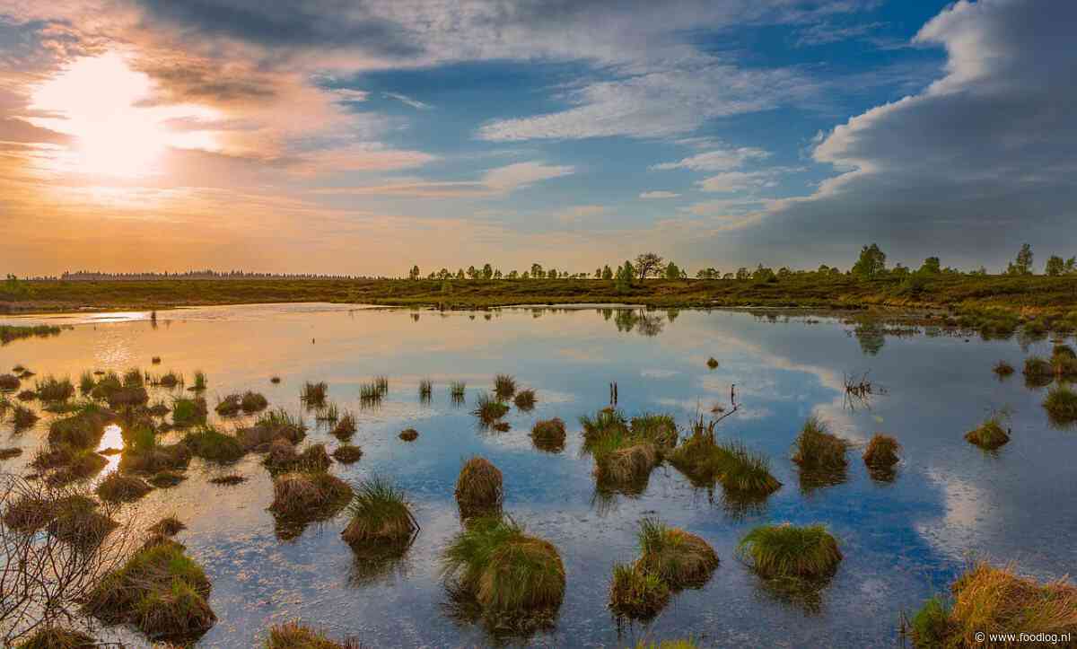 Water mag je alleen putten als je het niet uitput