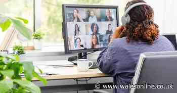 Background on video calls causes 'physical and mental exhaustion'