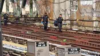 Boy, 11, dies subway surfing in Brooklyn as the daredevil act claims lives of four people this year