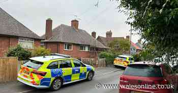 Boy, eight, dies after falling from window of house