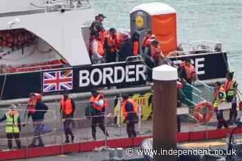 Brexit ‘cock up’ delays Border Force fleet replacement and sends costs soaring