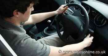 Calls for DVLA to introduce new restrictions on young drivers