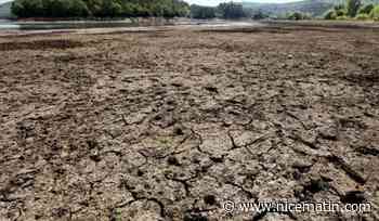 "La région Paca se réchauffe plus vite que les autres": le rapport du Réseau action climat sur le changement climatique sonne l'alarme