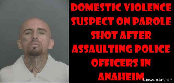 Domestic violence suspect on parole shot after assaulting police officers in Anaheim