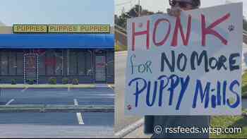 Community concerns over animal conditions and pet sales at a Bradenton pet shop trigger protests