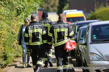 Fünf Bombenfunde in Bielefeld: Räumung beginnt