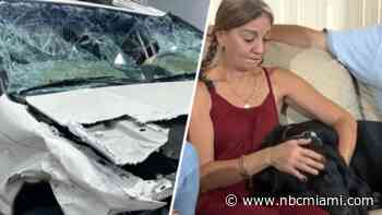 Miami woman reunited with dog missing for days after rollover crash on I-95